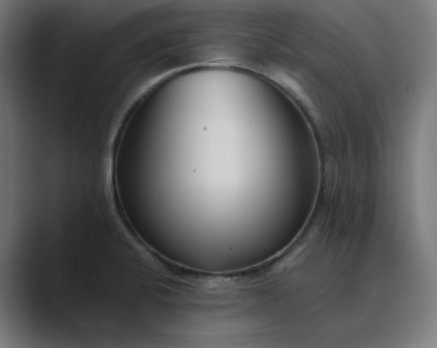X0000089441424200706291417