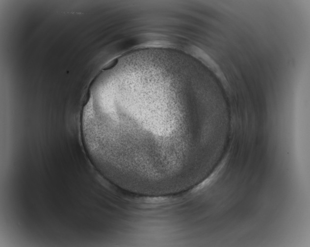 X0000089441425200706291417
