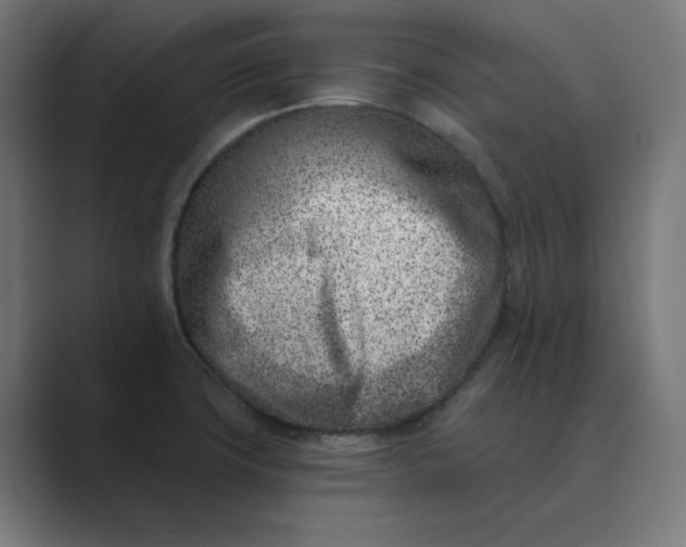 X0000089441427200706291417
