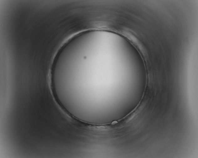X0000089441432200706291417