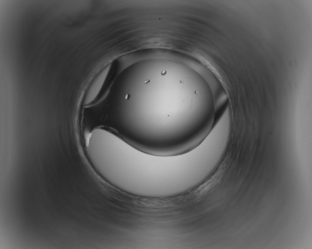 X0000089441434200706291417
