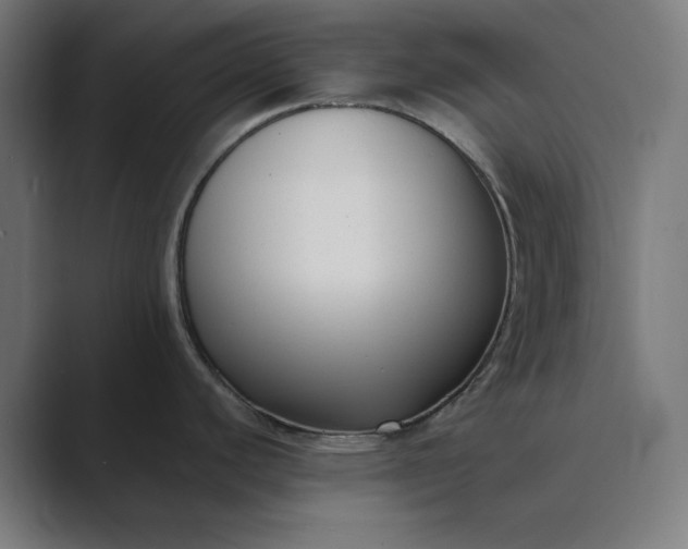X0000089441440200706291417