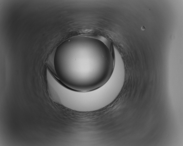 X0000089441441200706291416