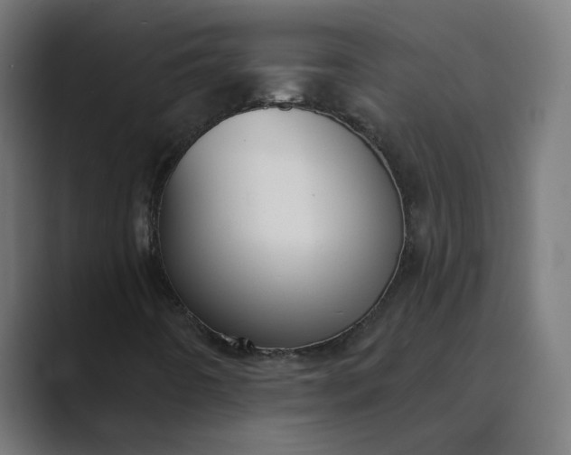 X0000089441442200706291416