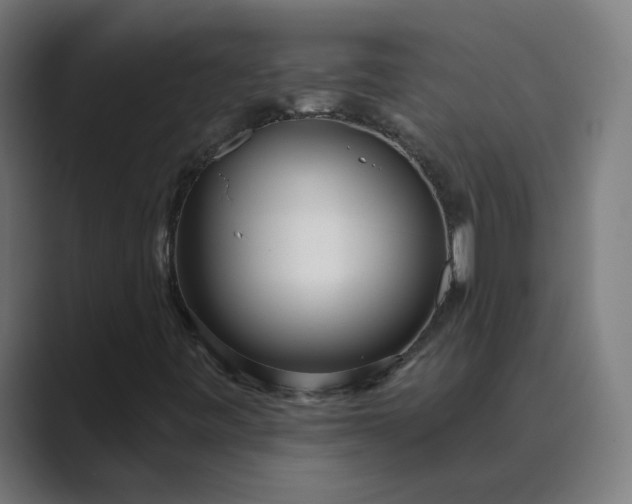 X0000089441443200706291416