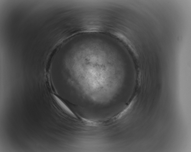 X0000089441449200706291416