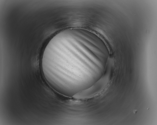 X0000089441450200706291416
