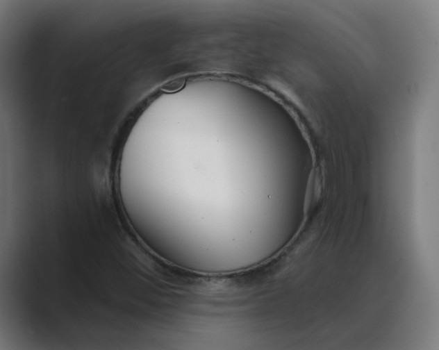 X0000089441452200706291416