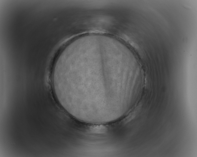 X0000089441454200706291416