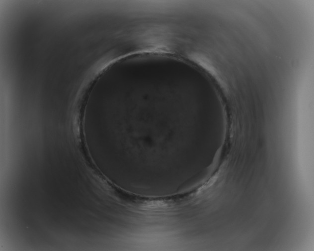 X0000089441455200706291416