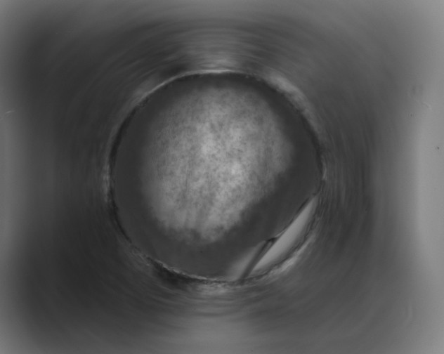 X0000089441457200706291416
