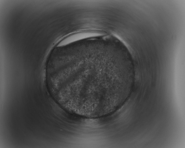 X0000089441459200706291416