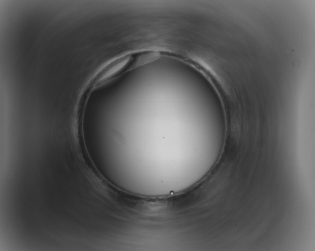 X0000089441460200706291416