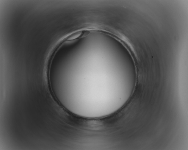 X0000089441464200706291416
