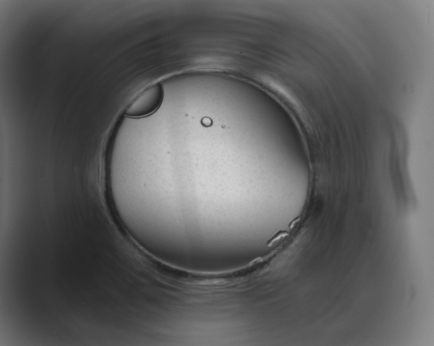 X0000089441467200706291416