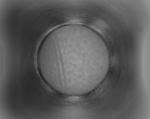 X0000089441470200706291416