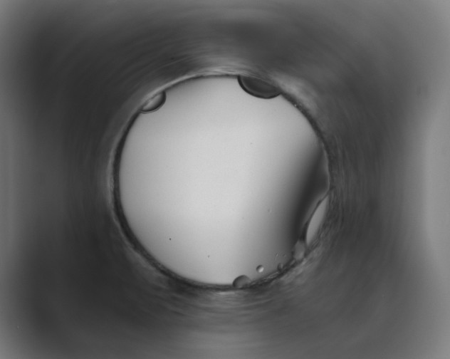 X0000089441471200706291416