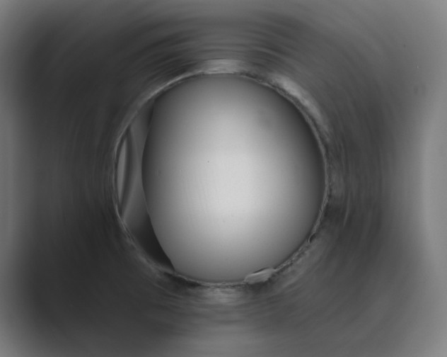 X0000089441473200706291416