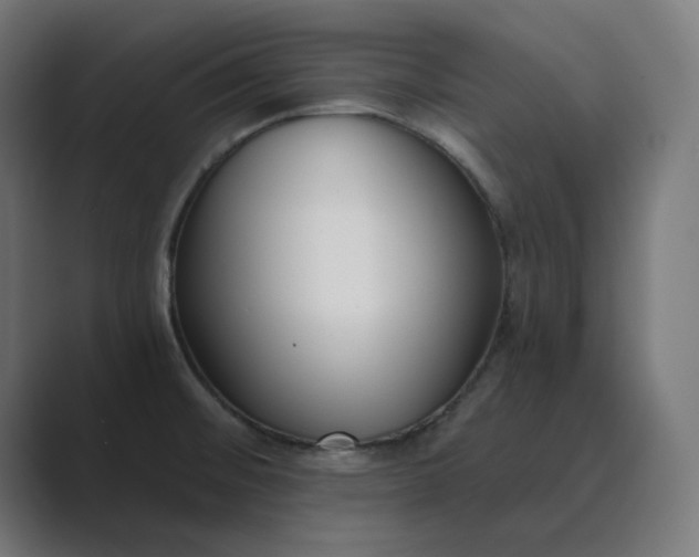 X0000089441476200706291416