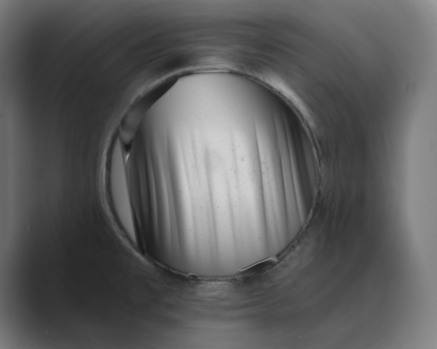 X0000089441477200706291416