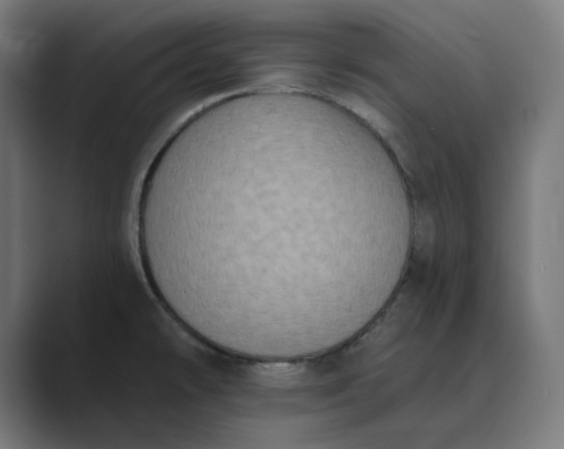 X0000089441478200706291416