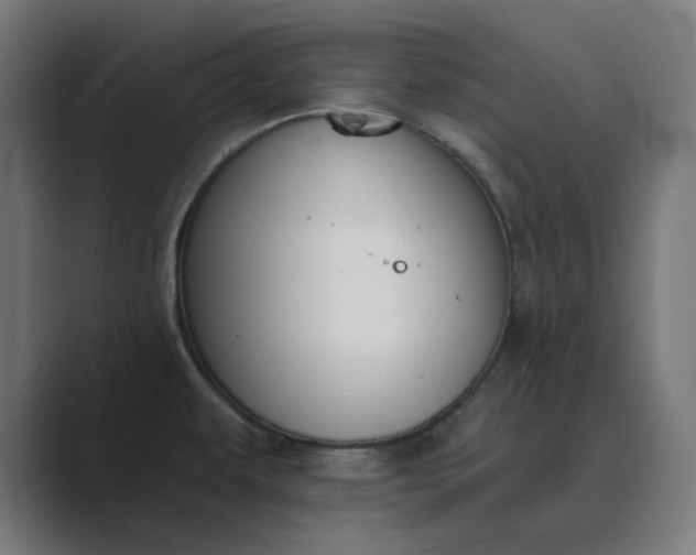X0000089441479200706291416