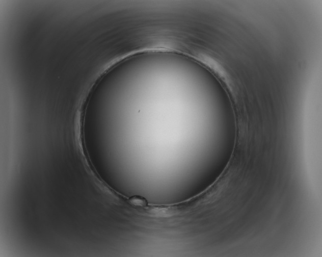 X0000089441480200706291416