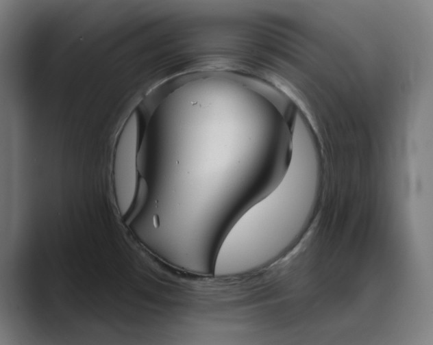 X0000089441481200706291416