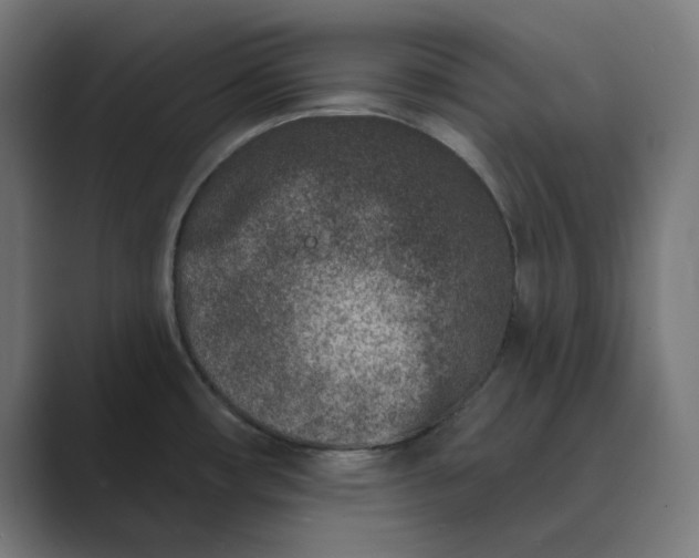 X0000089441482200706291416