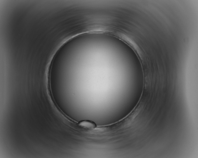X0000089441483200706291416