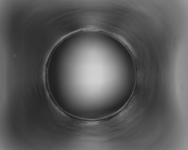 X0000089441484200706291416