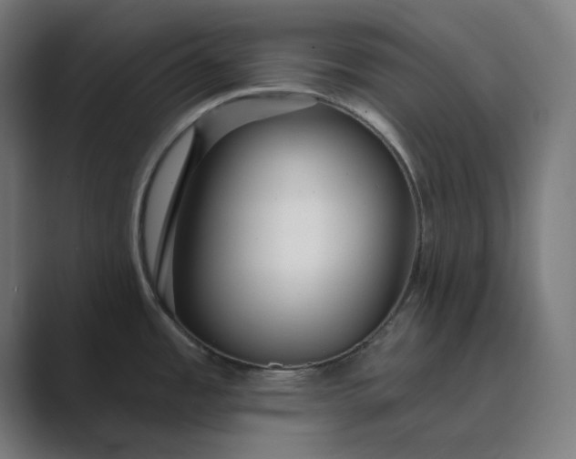 X0000089441485200706291416