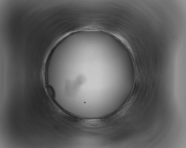 X0000089441486200706291416