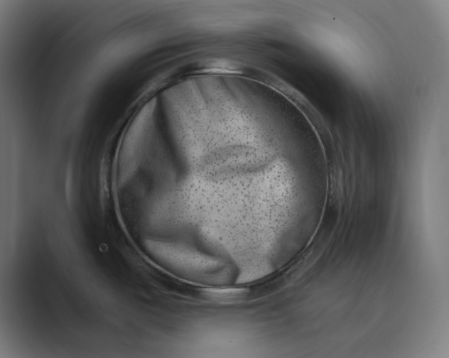 X0000089441487200706291416