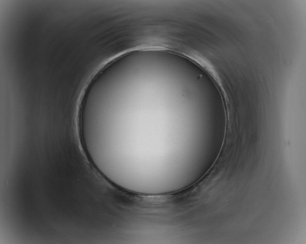 X0000089441488200706291416