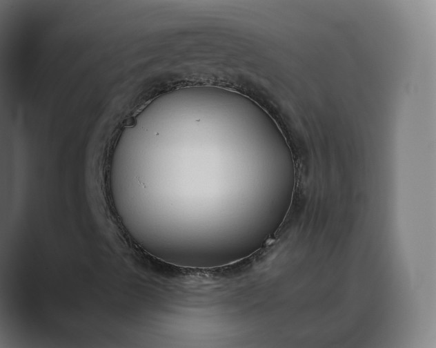 X0000089441489200706291415