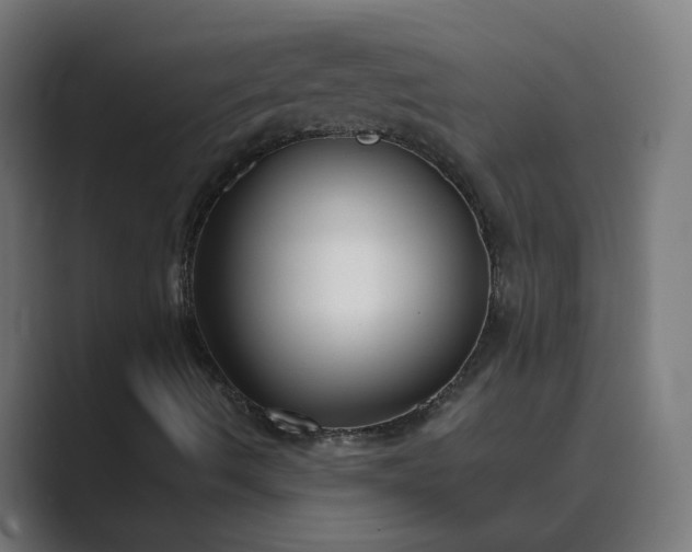 X0000089441490200706291415