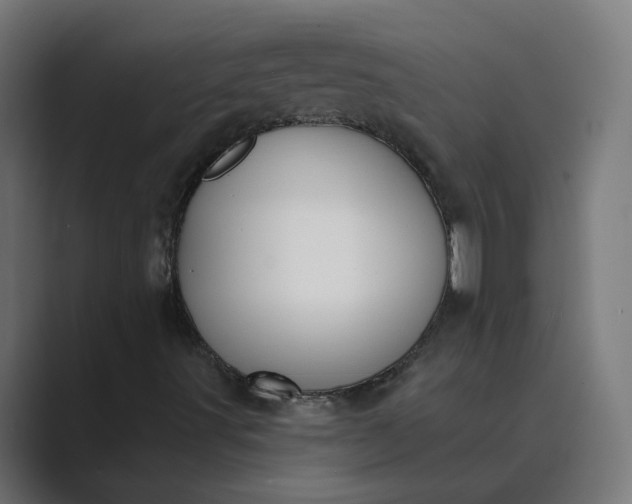X0000089441491200706291415