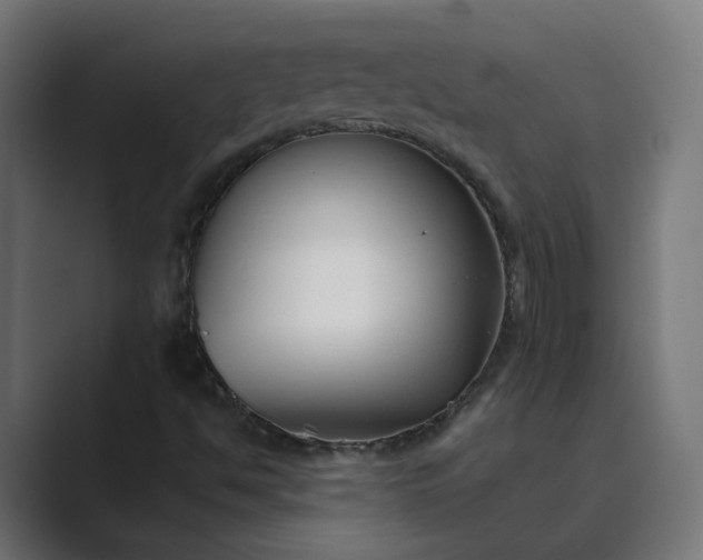 X0000089441494200706291415