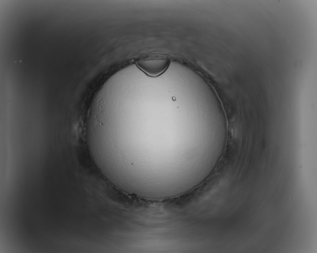 X0000089441495200706291415
