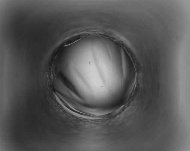 X0000089441496200706291415