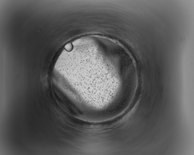 X0000089441497200706291415