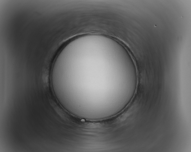 X0000089441499200706291416