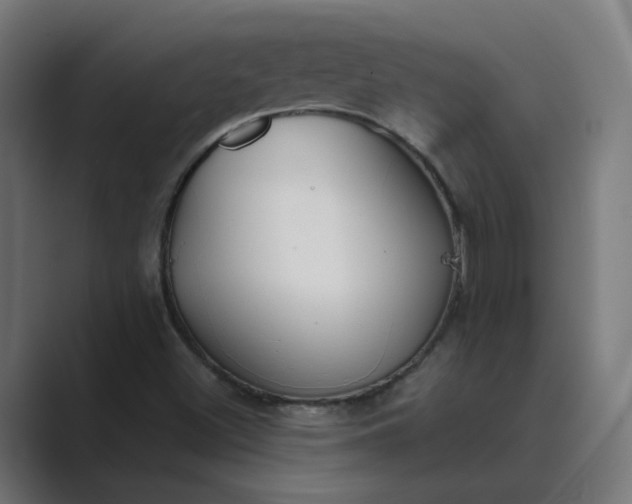 X0000089441500200706291416