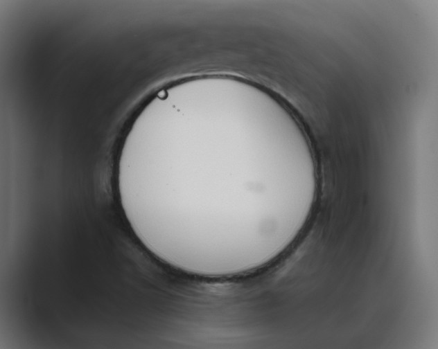 X0000089441502200706291416