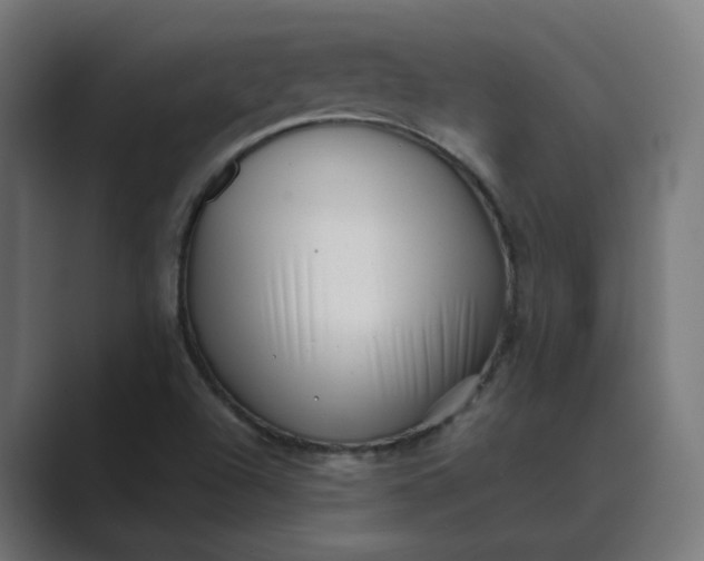 X0000089441504200706291416