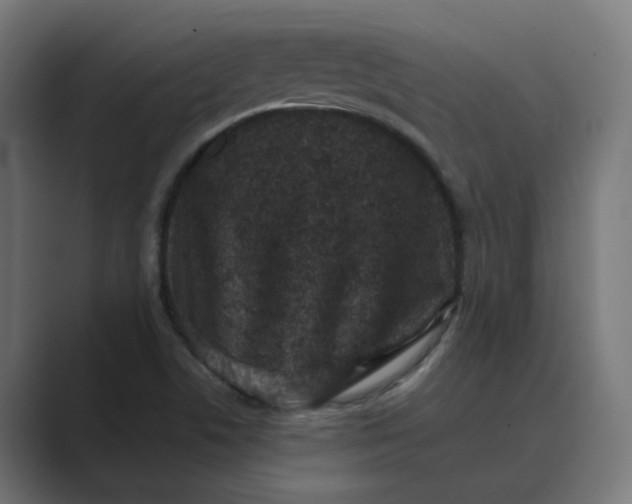 X0000089441506200706291416