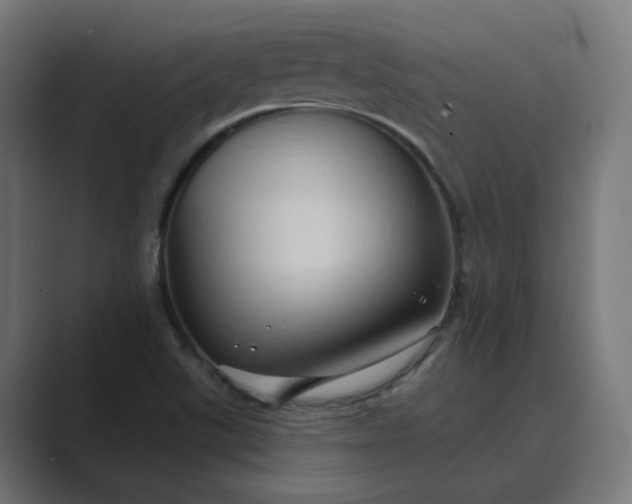 X0000089441507200706291416
