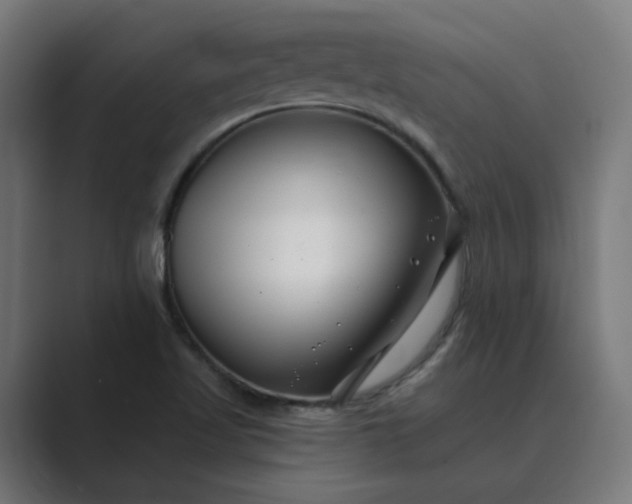 X0000089441509200706291416