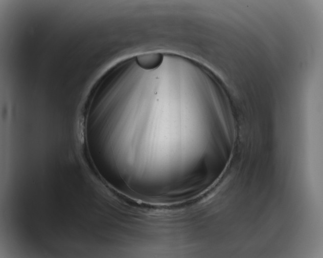X0000089441510200706291416